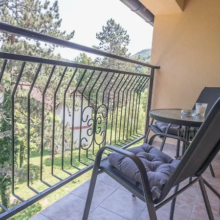 Danica No.2 Apartman Banja Koviljača